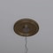 Ekena Millwork PVC Medallion (Canopies up to 7 1/2"), 13"OD x 3 1/2"ID x 1 1/4"P, Metallic Champagne Bronze CMP13TRCCB - alternate 9